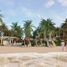  Land for sale in Sinanche, Yucatan, Sinanche