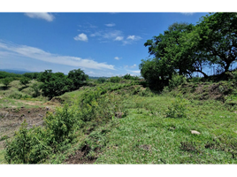  Terreno (Parcela) en venta en Cartago, Valle Del Cauca, Cartago