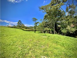  Land for sale in Rionegro, Antioquia, Rionegro