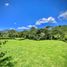  Land for sale in Rionegro, Antioquia, Rionegro