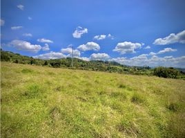  Terreno (Parcela) en venta en Retiro, Antioquia, Retiro