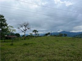  Land for sale in Santa Rosa De Cabal, Risaralda, Santa Rosa De Cabal