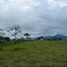  Land for sale in Colombia, Santa Rosa De Cabal, Risaralda, Colombia