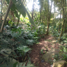  Land for sale in El Tesoro Parque Comercial, Medellin, Medellin