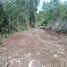  Terreno (Parcela) en venta en Cancún, Quintana Roo, Cancún
