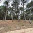  Land for sale in La Costa, Buenos Aires, La Costa