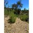  Land for sale in Chile, Ancud, Chiloe, Los Lagos, Chile