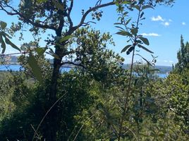  Land for sale in Chile, Ancud, Chiloe, Los Lagos, Chile
