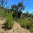  Land for sale in Chile, Ancud, Chiloe, Los Lagos, Chile