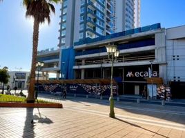 1 Bedroom Condo for rent in Chile, Coquimbo, Elqui, Coquimbo, Chile
