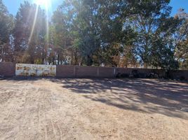  Terrain for sale in Calingasta, San Juan, Calingasta