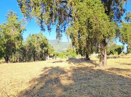  Land for sale in Maule, San Clemente, Talca, Maule