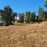  Land for sale in Maule, San Clemente, Talca, Maule