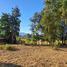  Land for sale in Maule, San Clemente, Talca, Maule