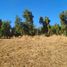  Land for sale in Maule, San Clemente, Talca, Maule