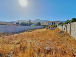  Land for sale in Chile, Quillota, Quillota, Valparaiso, Chile