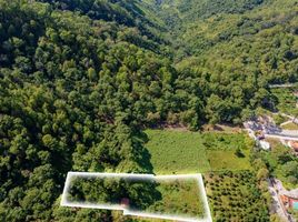  Terrain for sale in San Sebastian Del Oeste, Jalisco, San Sebastian Del Oeste