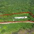  Terreno (Parcela) en venta en Guerrero, Jose Azueta, Guerrero
