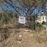  Land for sale in Juarez, Nuevo Leon, Juarez