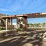  Land for sale in San Ignacio, Sinaloa, San Ignacio