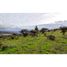  Terreno (Parcela) en venta en Valparaíso, Limache, Quillota, Valparaíso