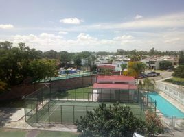 1 Habitación Apartamento en alquiler en Leon, Guanajuato, Leon, Guanajuato
