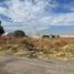  Land for sale in Atenco, Mexico, Atenco