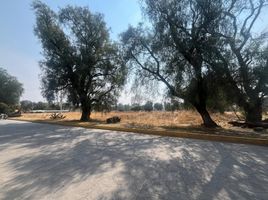  Grundstück zu verkaufen in Chiautla, Mexico, Chiautla