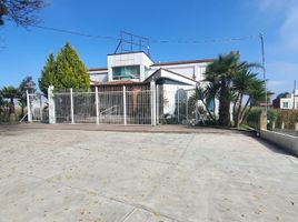 1,160 m² Office for rent in Toluca, Mexico, Toluca