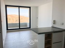 1 Bedroom Apartment for sale in Chile, Vina Del Mar, Valparaiso, Valparaiso, Chile
