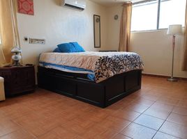 Estudio Casa en alquiler en Nuevo León, Monterrey, Nuevo León