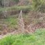  Terreno (Parcela) en venta en Chile, Hualqui, Concepción, Biobío, Chile
