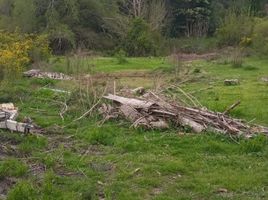  Terreno (Parcela) en venta en Chile, Hualqui, Concepción, Biobío, Chile