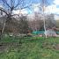  Grundstück zu verkaufen in Cushamen, Chubut, Cushamen, Chubut