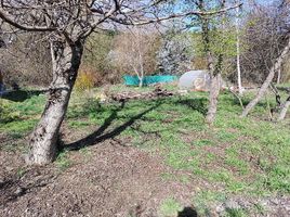  Grundstück zu verkaufen in Cushamen, Chubut, Cushamen, Chubut
