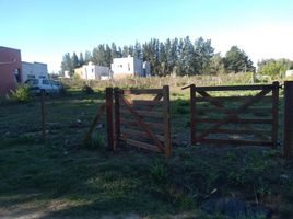  Land for sale in La Plata, Buenos Aires, La Plata