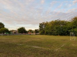  Terreno (Parcela) en alquiler en La Plata, Buenos Aires, La Plata