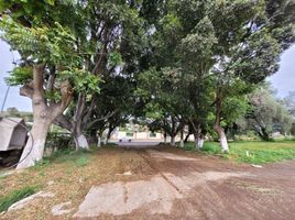  Grundstück zu verkaufen in Atlixco, Puebla, Atlixco, Puebla