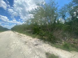  Grundstück zu verkaufen in Mococha, Yucatan, Mococha