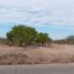  Terrain for sale in Baja California Sur, La Paz, Baja California Sur