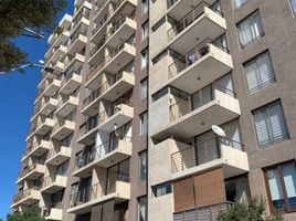 1 Habitación Apartamento en alquiler en Restaurante Tierra Norteña, Machali, Requinao