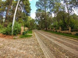 Terrain à vendre à Tapalpa, Jalisco, Tapalpa