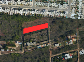  Land for sale in Tixpehual, Yucatan, Tixpehual