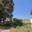  Grundstück zu verkaufen in Alvaro Obregon, Mexico City, Alvaro Obregon