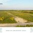  Land for sale in Dist Juquila, Oaxaca, Dist Juquila