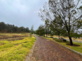  Terreno (Parcela) en venta en Mazamitla, Jalisco, Mazamitla