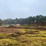  Terreno (Parcela) en venta en Mazamitla, Jalisco, Mazamitla