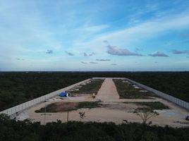 Grundstück zu verkaufen in Conkal, Yucatan, Conkal