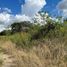  Land for sale in Tixkokob, Yucatan, Tixkokob
