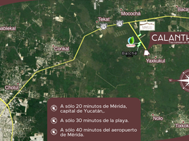 Land for sale in Tixkokob, Yucatan, Tixkokob